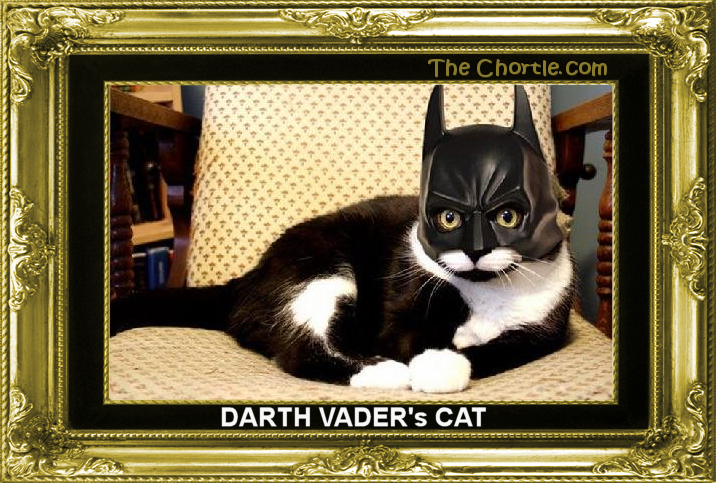 Darth Vader's cat