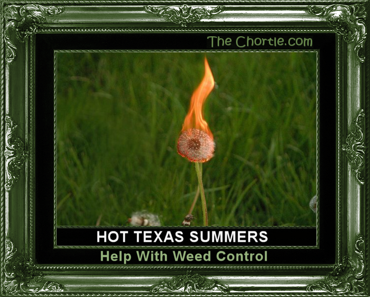 Hot Texas summers help weed control