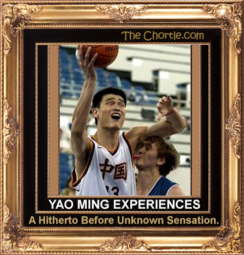 Yao Ming experiences a hithertobefore unknown sensation
