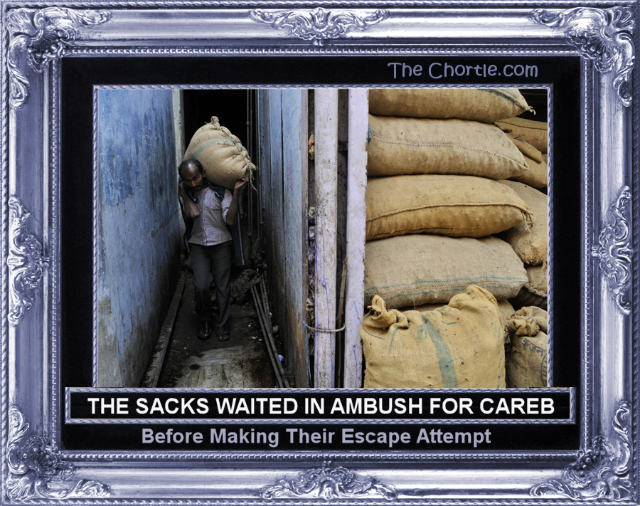 The sacks waited in ambush for Careb before making their escape attempt.