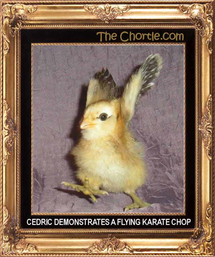 Cedric demonstates a flying karate chop