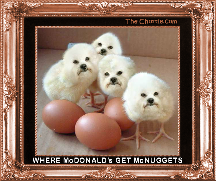 Where McDonalds gots McNuggets