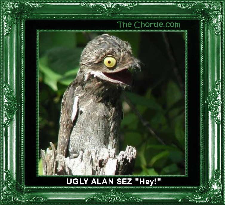 Ugly Alan sez "Hey!"