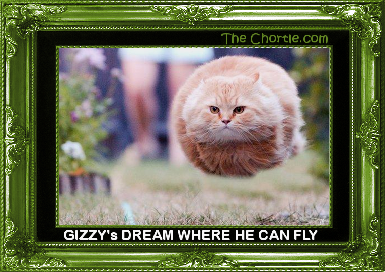 Gizzy's dream where he can fly.
